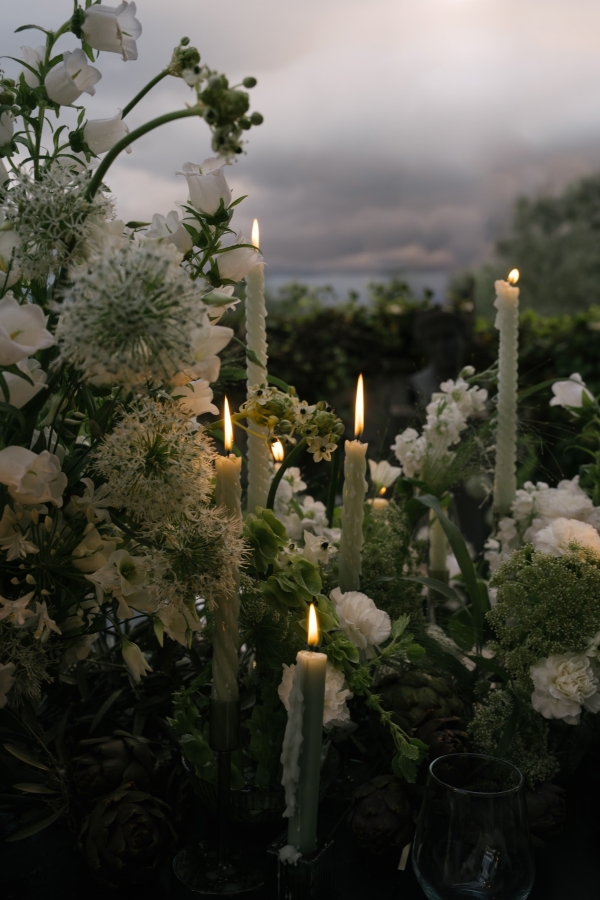 Meet Me at the Olive Grove