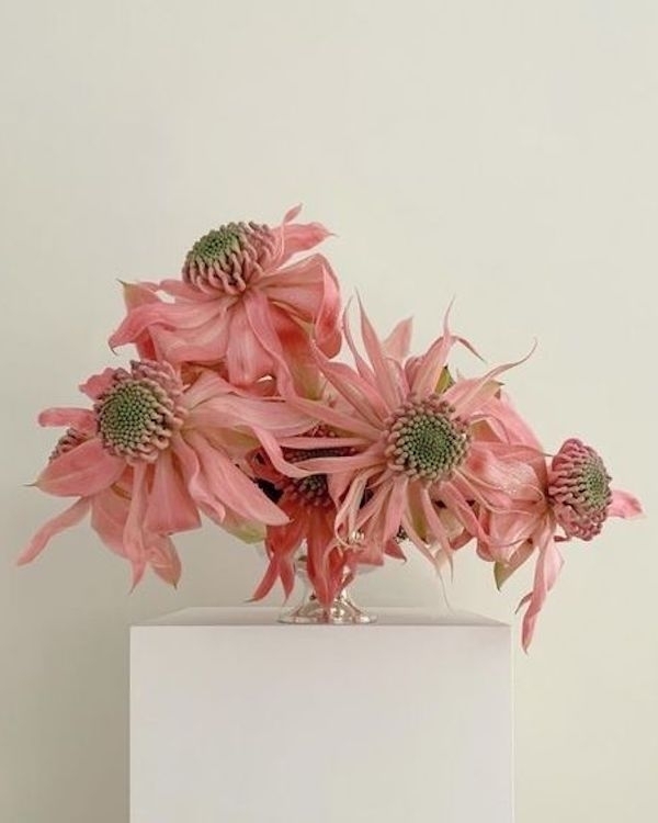 Blush Pink Bridal Shower