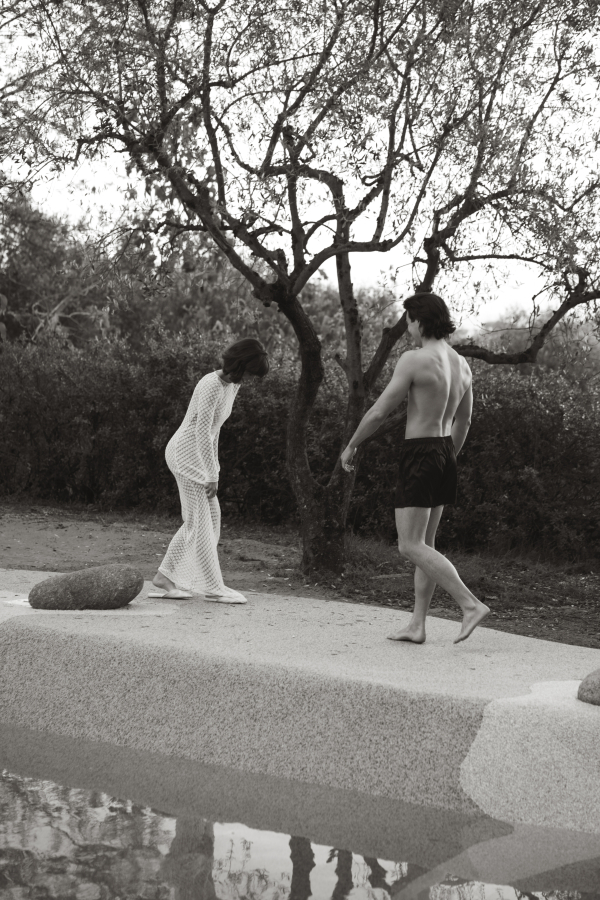 Meet Me at the Olive Grove