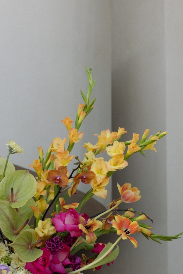 Photographers Tess Gearhart