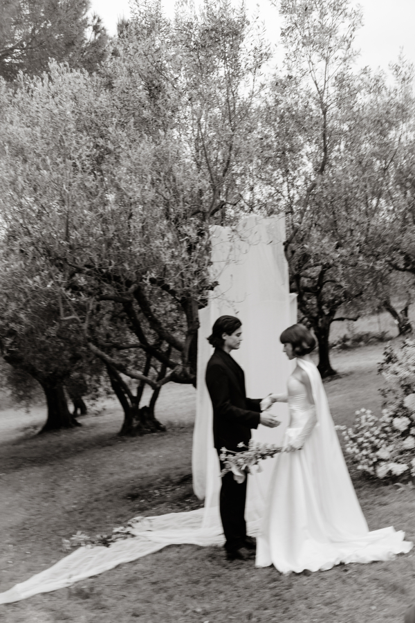 Meet Me at the Olive Grove