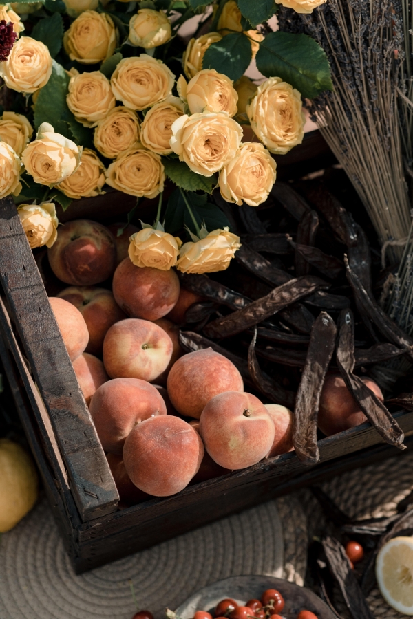 Cakes & Catering Rotondo Catering by Alba