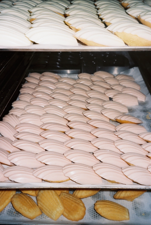 Cakes & Catering SNP Cake Atelier