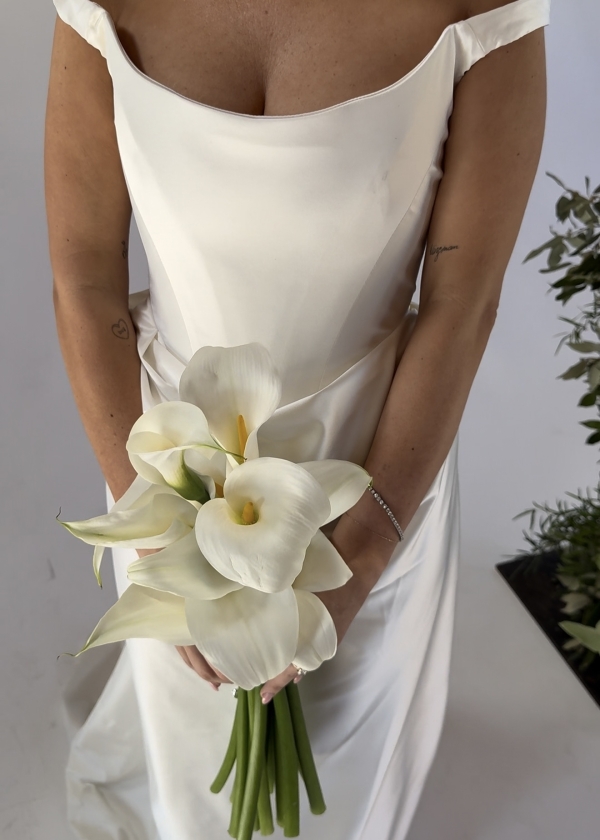 Content Creators WED SOCIAL