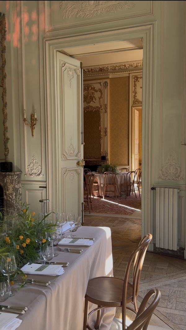 Content Creators WED SOCIAL