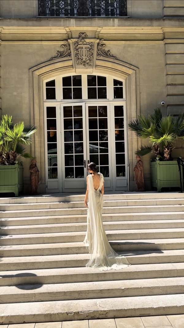 Content Creators WED SOCIAL