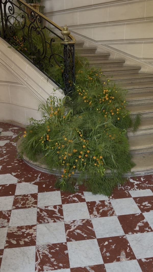 Content Creators WED SOCIAL