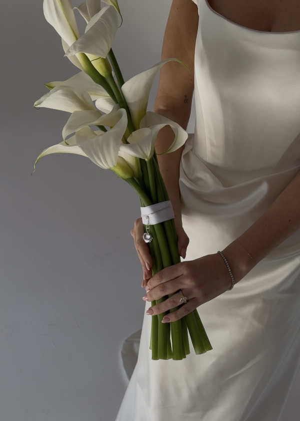 Content Creators WED SOCIAL