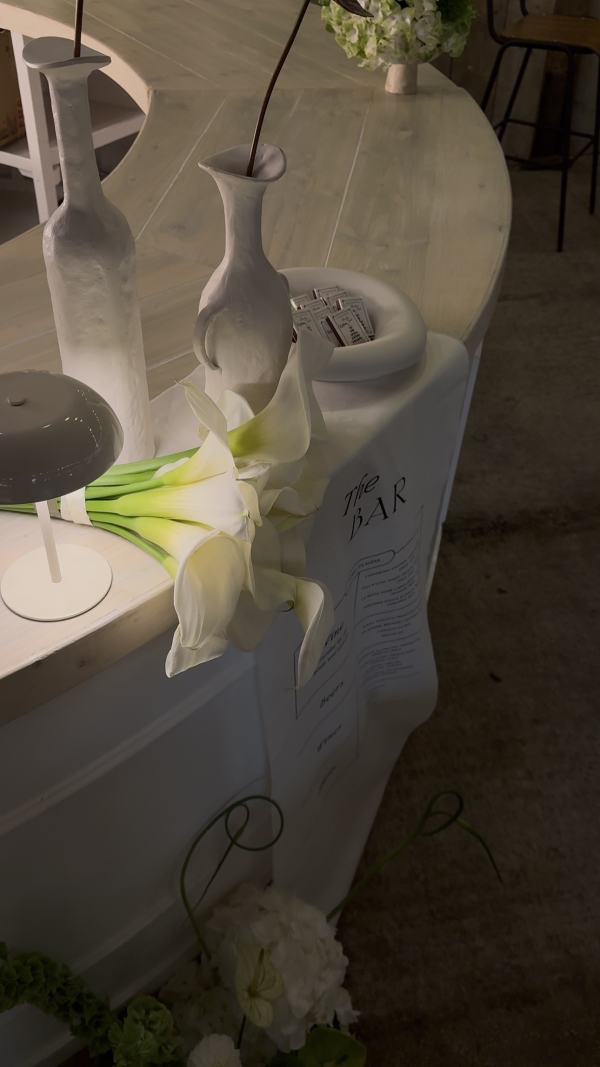 Content Creators WED SOCIAL