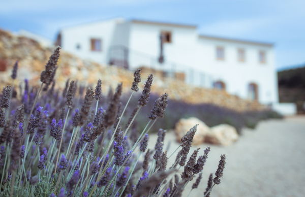 Venues Masia Cabellut