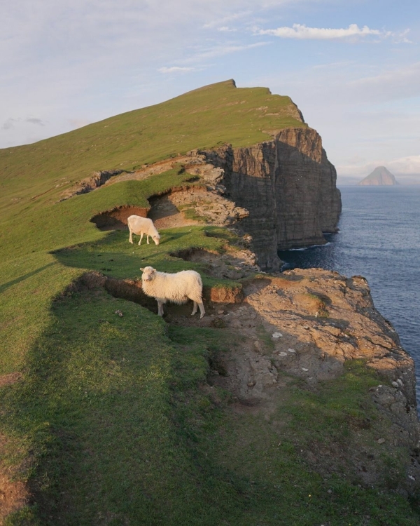 5 Ways to Celebrate Your Wedding | Classic Ceremony, Shindig Party, Time for Two and more