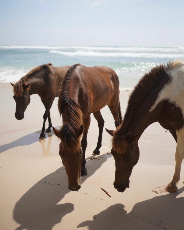 Best Luxury Spas in the World | The Most Luxurious Spa Resorts | Top 10 Wellness Retreat | Hotels