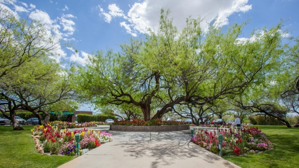 Venues The Lodge at Ventana Canyon