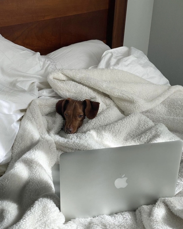 Couple Photo Shoot Ideas | Funny, Romantic Photoshoot | At Home, Studio & Other Locations