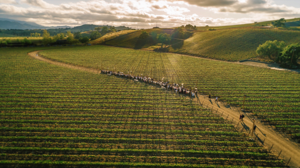 Planners Bash Please