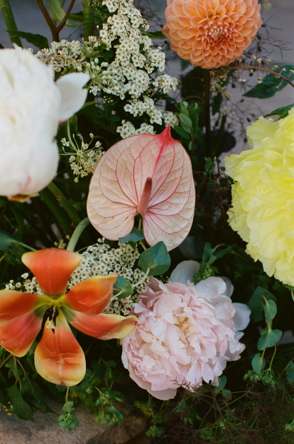 Photographers St. Chelle