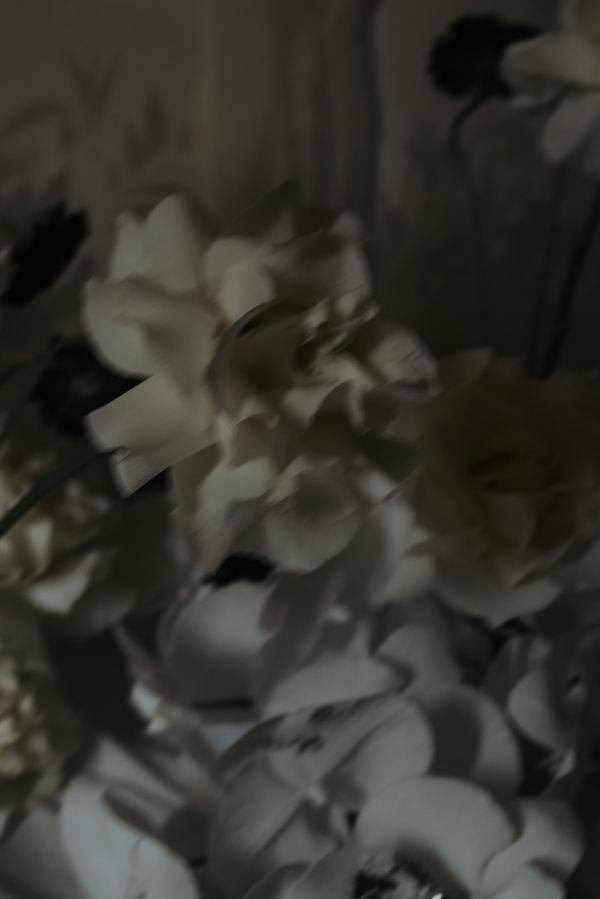 Photographers Gradisca Portento