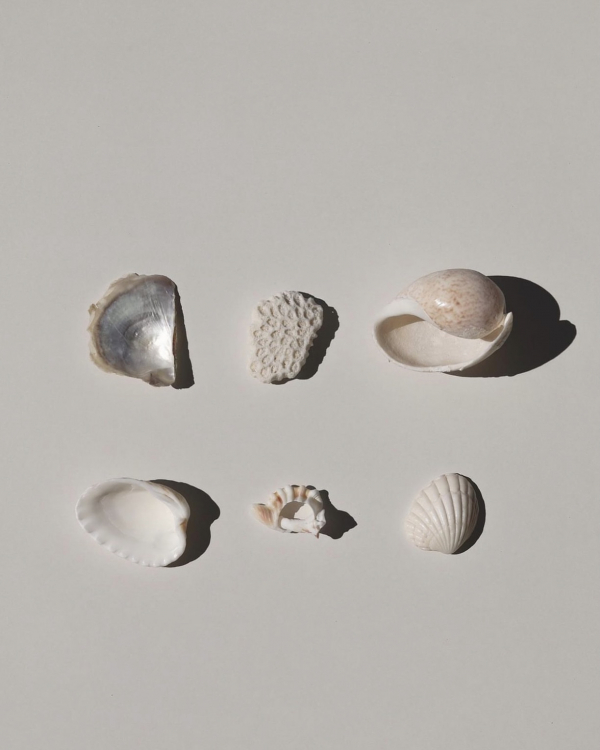 How to Achieve Your Beautiful Wedding Smile | Tips on Maintaining White Teeth Before Your Big Day