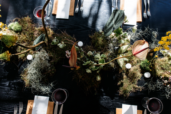 Royal Botanic Gardens Wedding Editorial