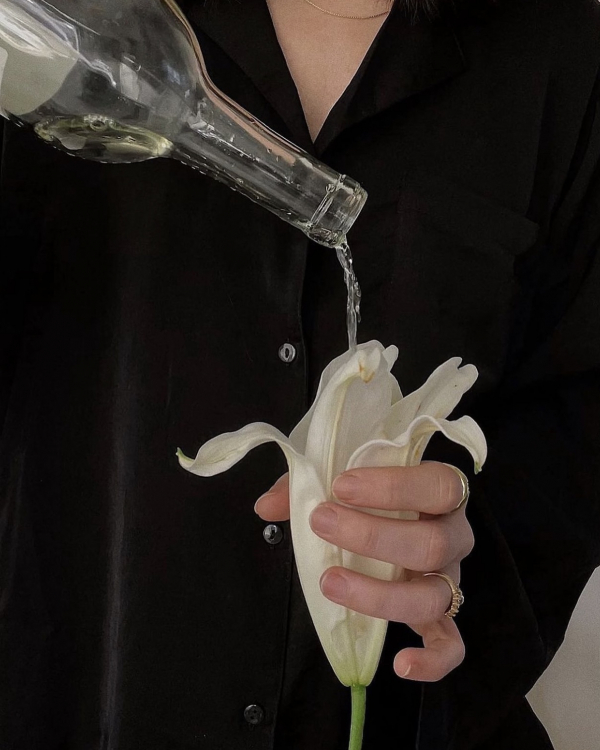 How to Plan a Bridal Shower | Bridal Shower To Do List and Ideas