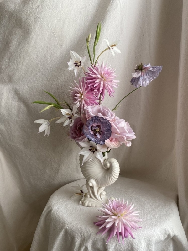 Florists Phosphorus Botanical