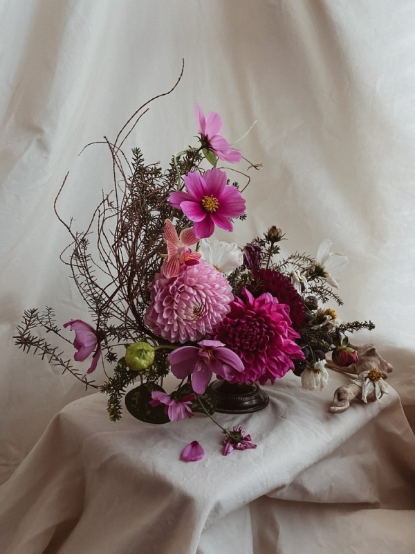 Florists Phosphorus Botanical