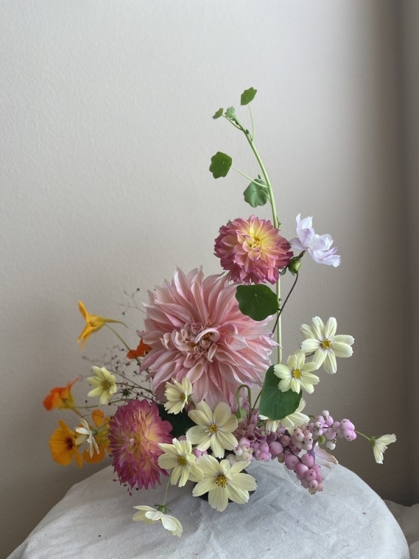 Florists Phosphorus Botanical