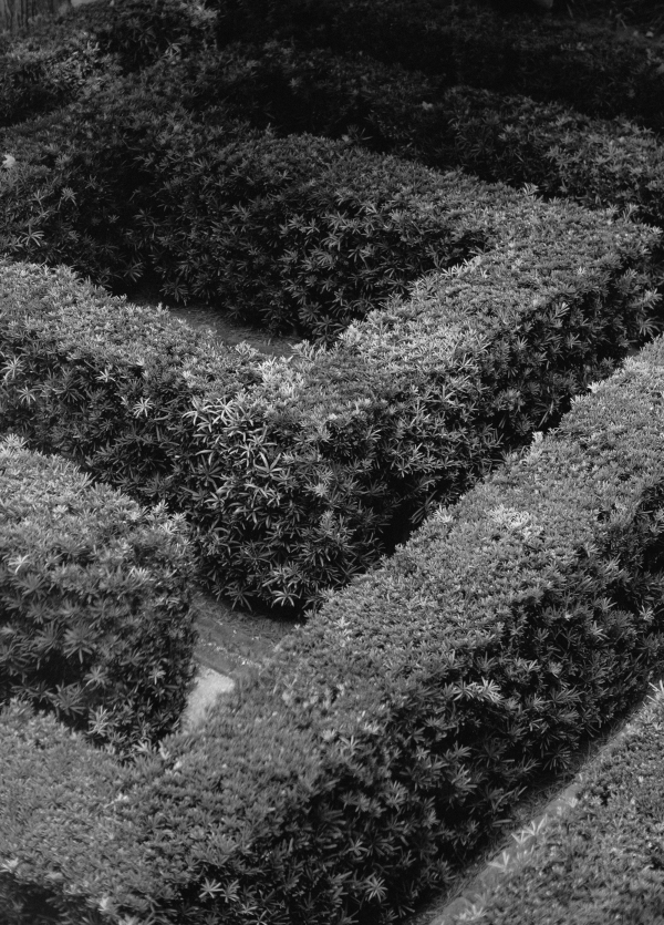 Photographers Marcus Jolly