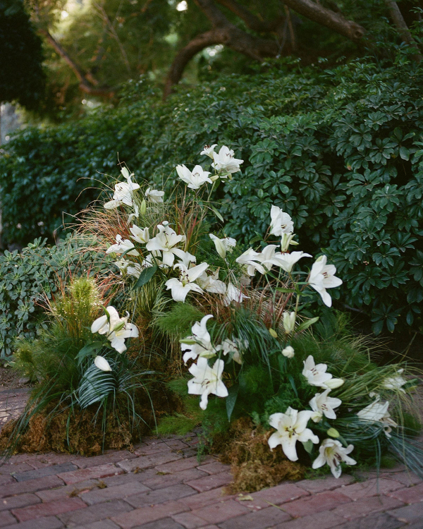 A Garden of Quiet Promises