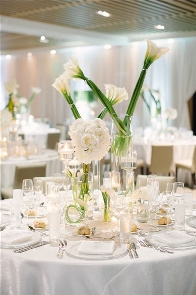 Venues Edition The Miami Beach