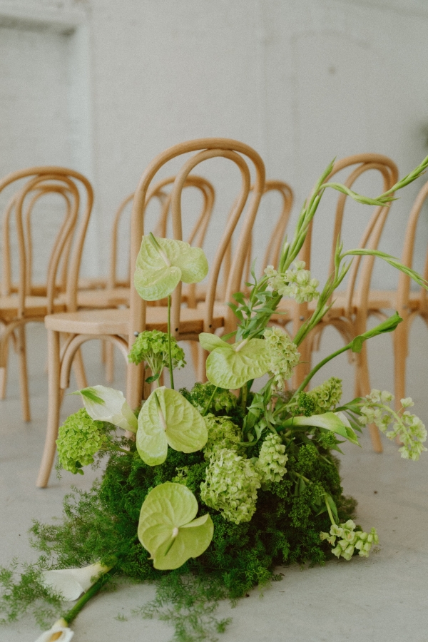 Photographers Sun & Soul Photo