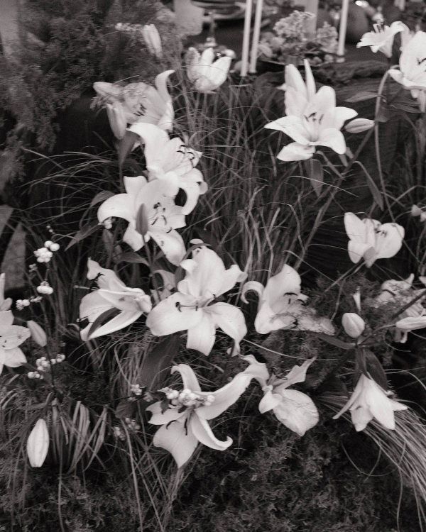 A Garden of Quiet Promises — photo 1
