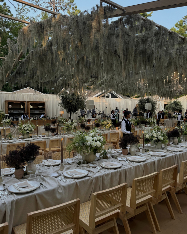 Content Creators Hype Gal