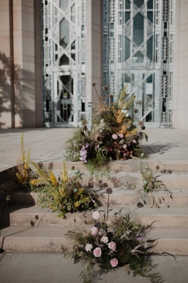 Florists Phosphorus Botanical