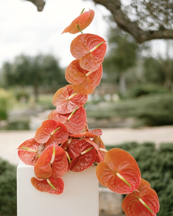 10 Major Wedding Floral Trends for Spring & Summer 2025