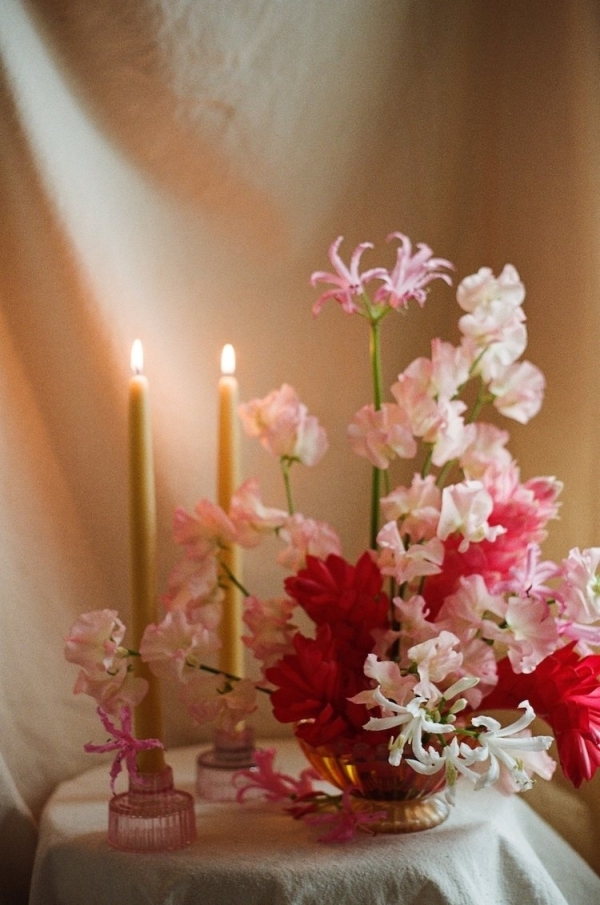 Florists Phosphorus Botanical