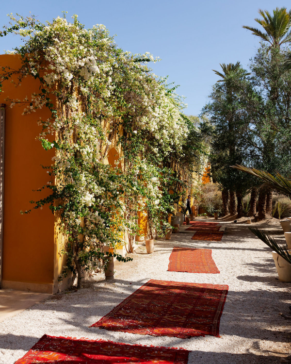 A Dreamy Marrakech Wedding in the Heart of a Lush Moroccan Garden