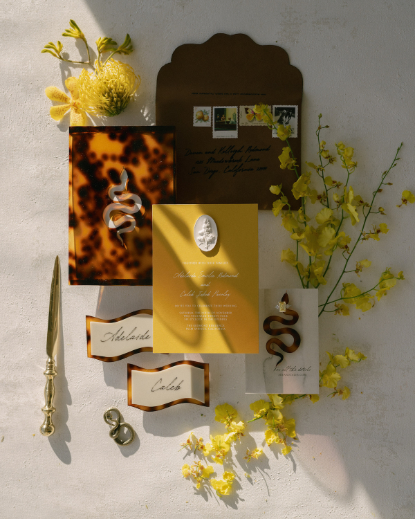 Retro Glamor in the Heart of Palm Springs