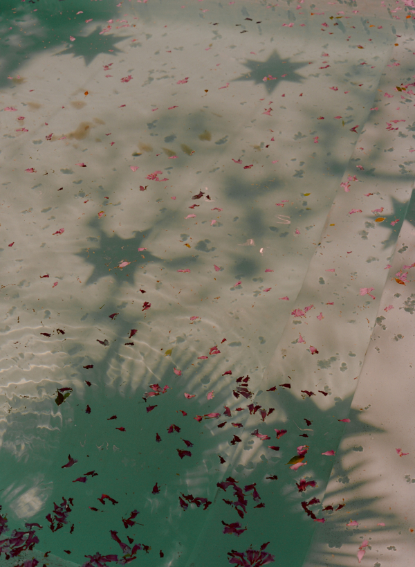 Photographers Marcus Jolly