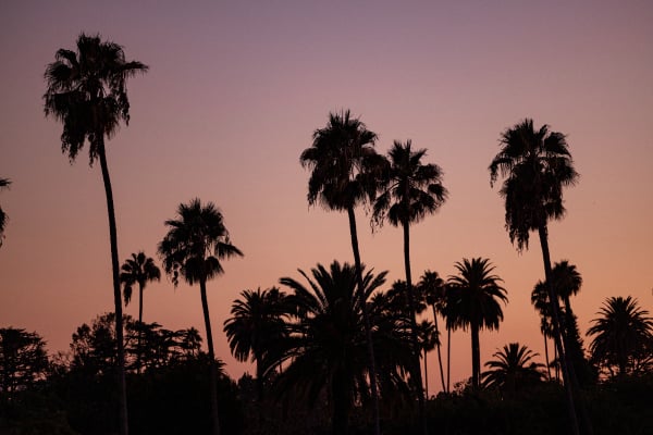 Venues The Beverly Hills Hotel