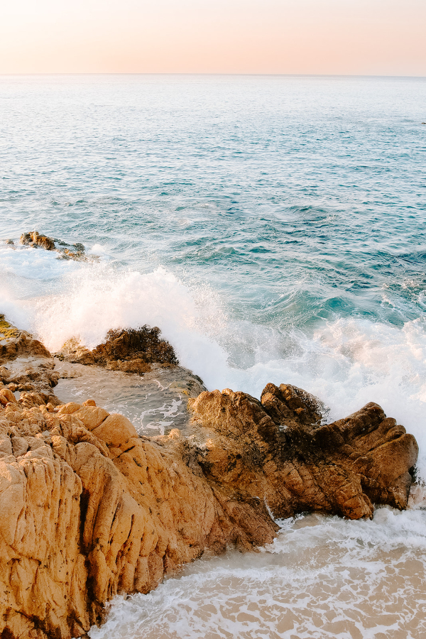 Photographers Taylor Renee