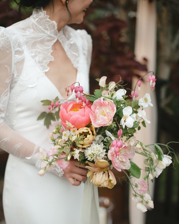 Florists Phosphorus Botanical