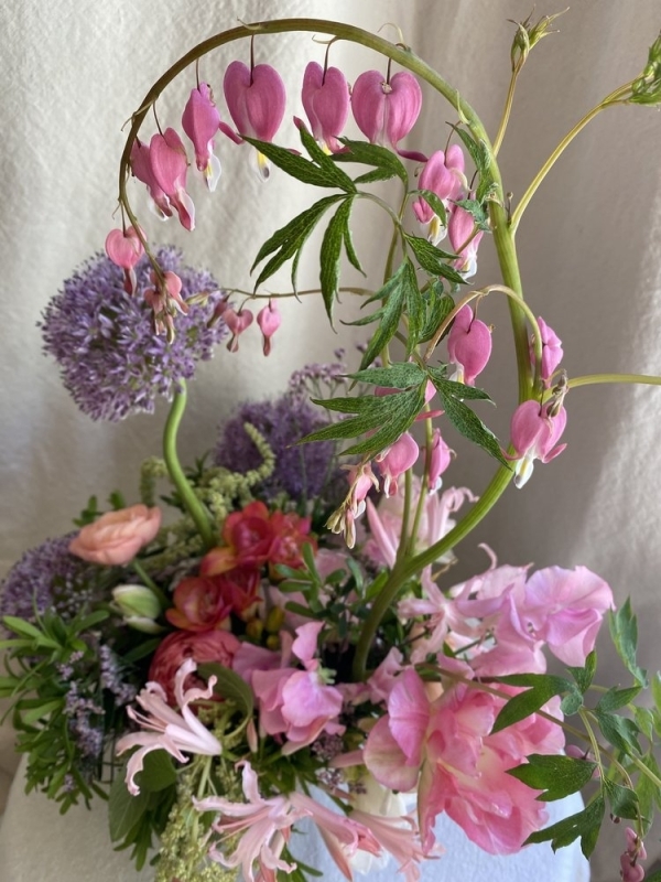 Florists Phosphorus Botanical