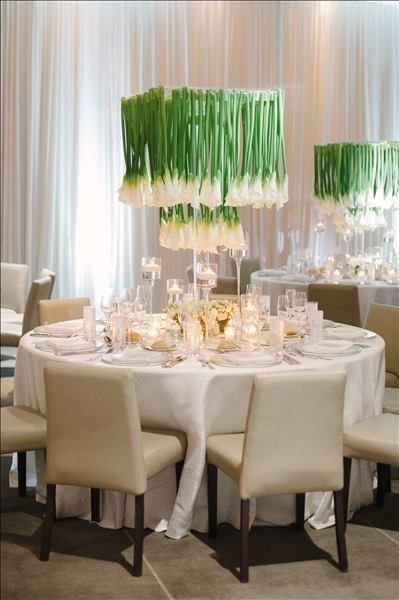 Venues Edition The Miami Beach