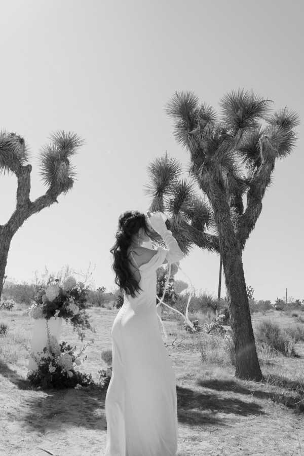 Photographers Sun & Soul Photo