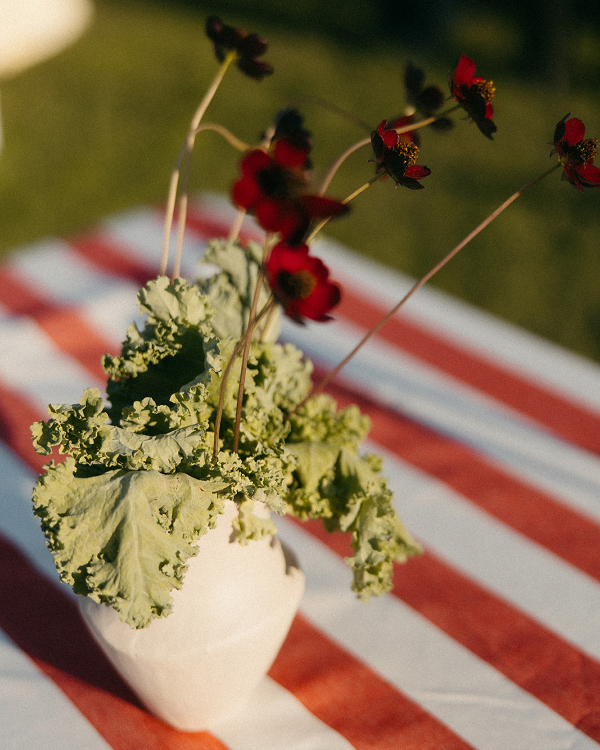 A Bold Cherry Red Wedding Amongst a Spanish Garden Villa