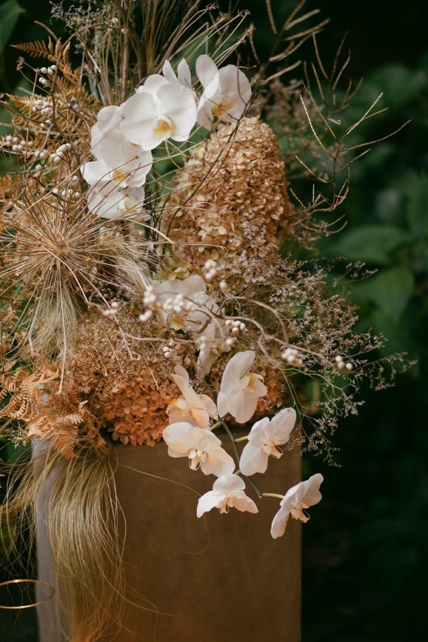 Florists Phosphorus Botanical