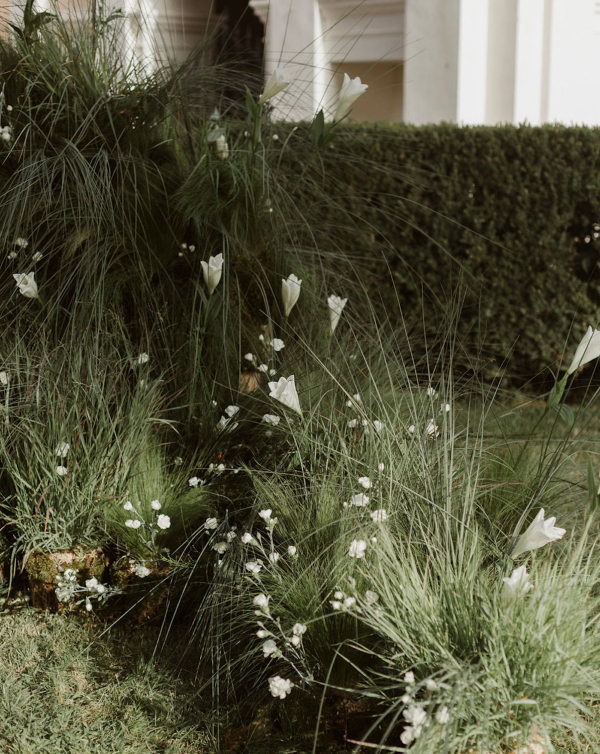 A Heartfelt & Elegant Celebration Amongst the Italian Countryside