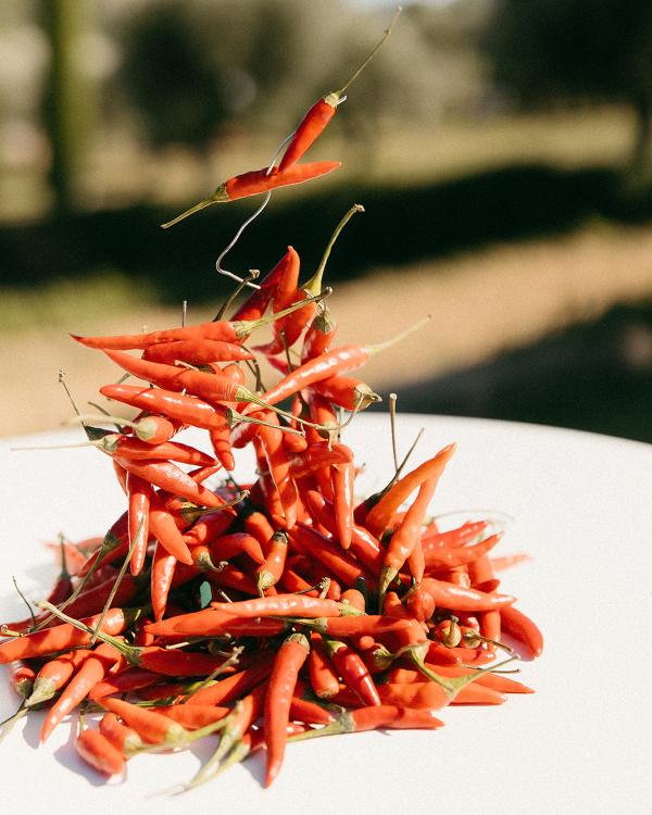 A Bold Cherry Red Wedding Amongst a Spanish Garden Villa