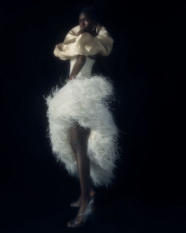 Top 6 Wedding Dress Styles | Different Style of Wedding Dresses | Chart of the All Types of Bridal Gown Silhouettes